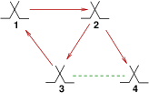 a sync network with a cycle