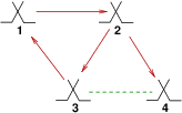 a sync network with a cycle